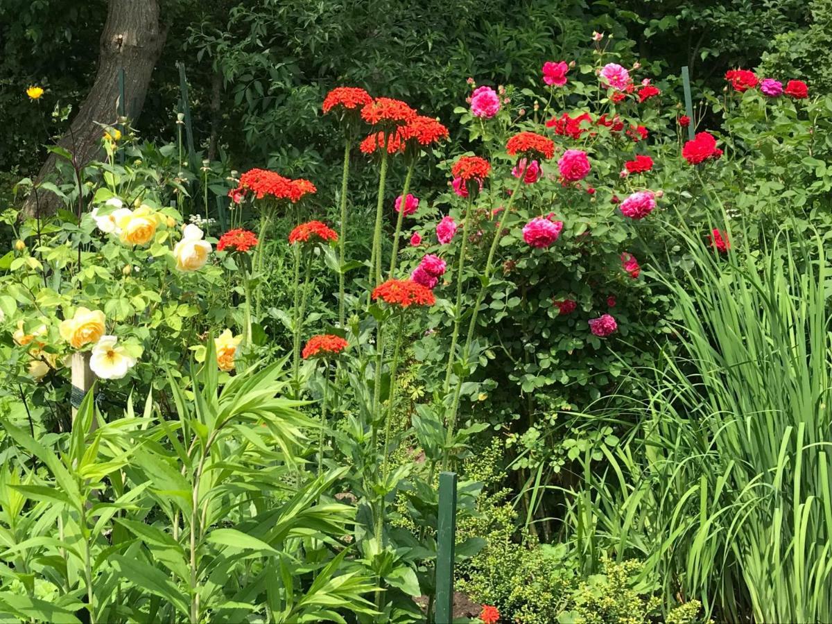 Gartenhaus Frieda Hébergement de vacances *
