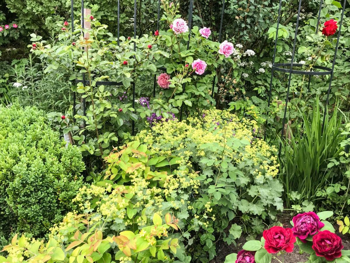 Gartenhaus Frieda Hébergement de vacances *